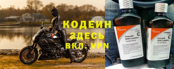 гидра Михайловка