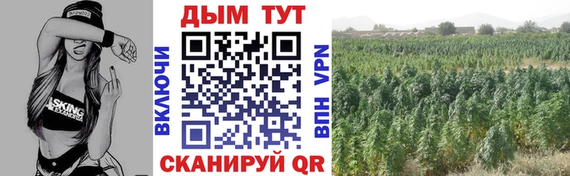 как найти   Пущино  OMG ссылка  Марихуана тримм 
